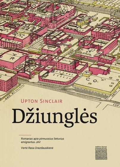 Džiunglės