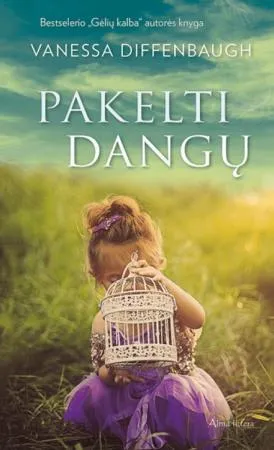 Pakelti dangų