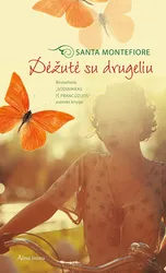Dėžutė su drugeliu