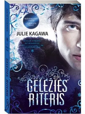 Geležies riteris (serijos "Geležies fėjūnai" 4-oji knyga)