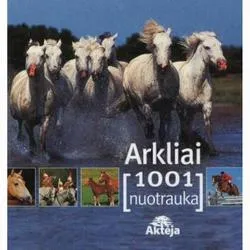 Arkliai 1001nuotrauka