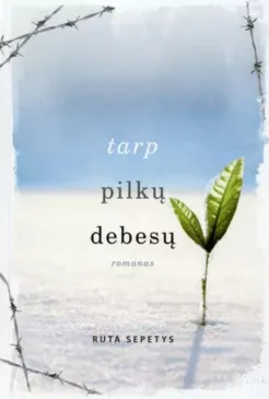 Tarp pilkų debesų