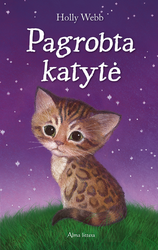 Pagrobta katytė