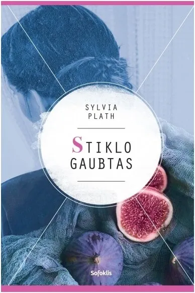 Stiklo gaubtas