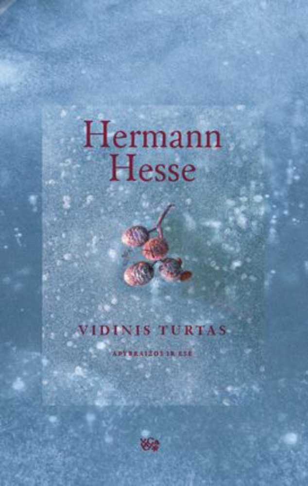 Vidinis turtas