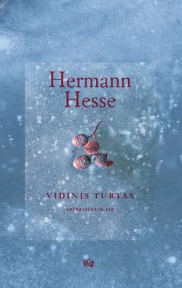Vidinis turtas