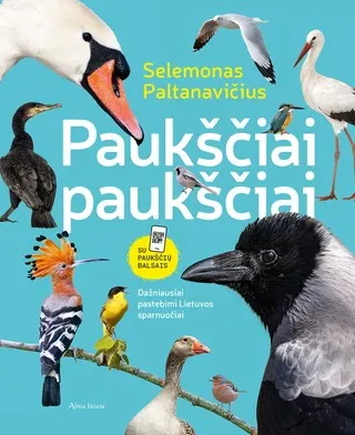 Paukščiai paukščiai. Dažniausiai pastebimi Lietuvos sparnuočiai