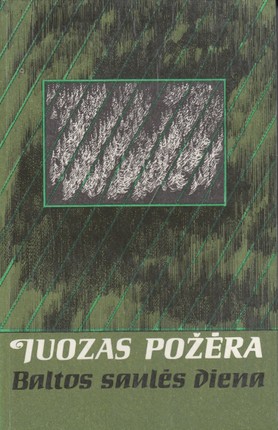 Baltos saulės diena