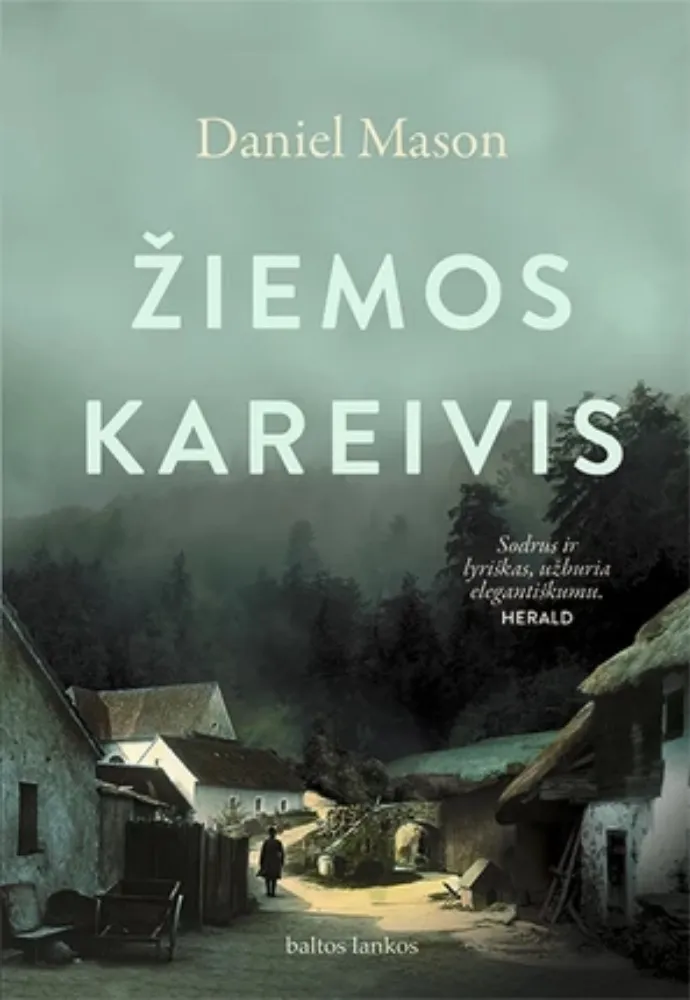 Žiemos kareivis