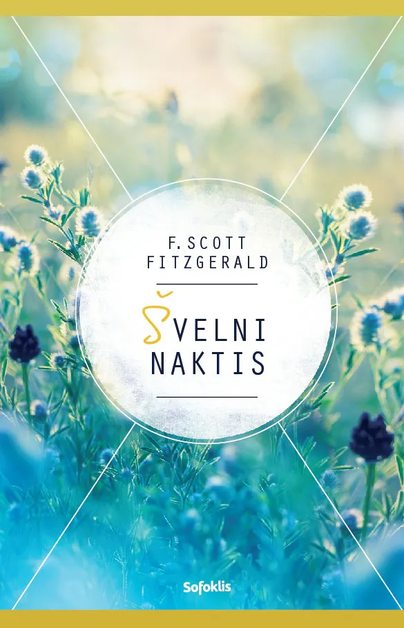Švelni naktis
