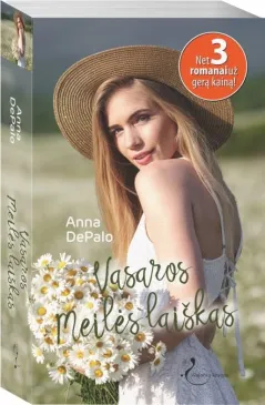Vasaros meilės laiškas