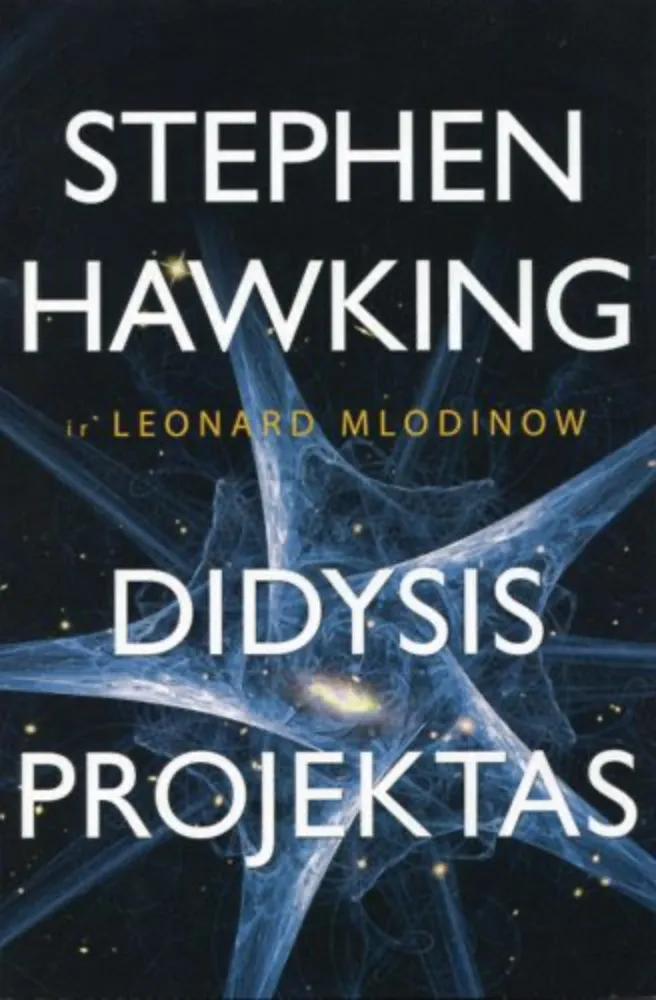 Didysis projektas
