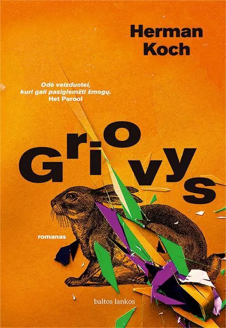 Griovys