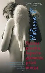 Šimtas plaukų šepečio glamonių prieš miegą