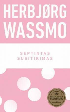 Septintas susitikimas