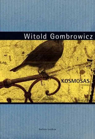 Kosmosas