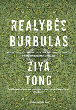 Realybės burbulas
