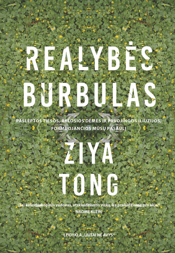 Realybės burbulas