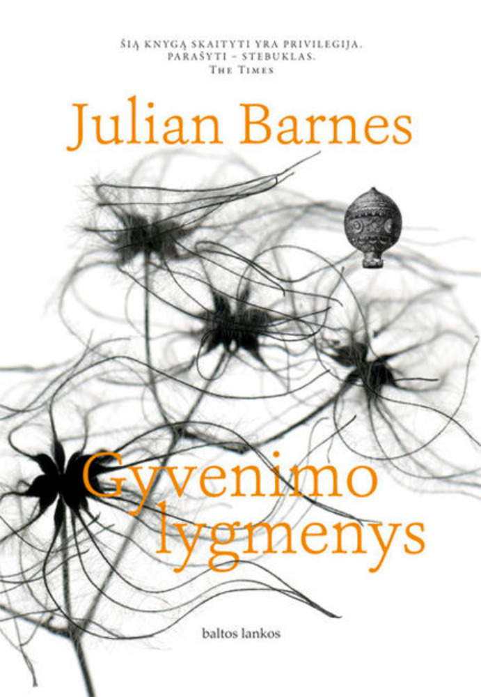 Gyvenimo lygmenys