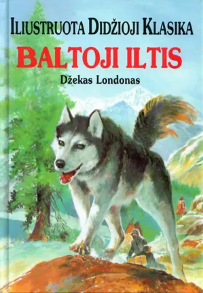 Baltoji iltis