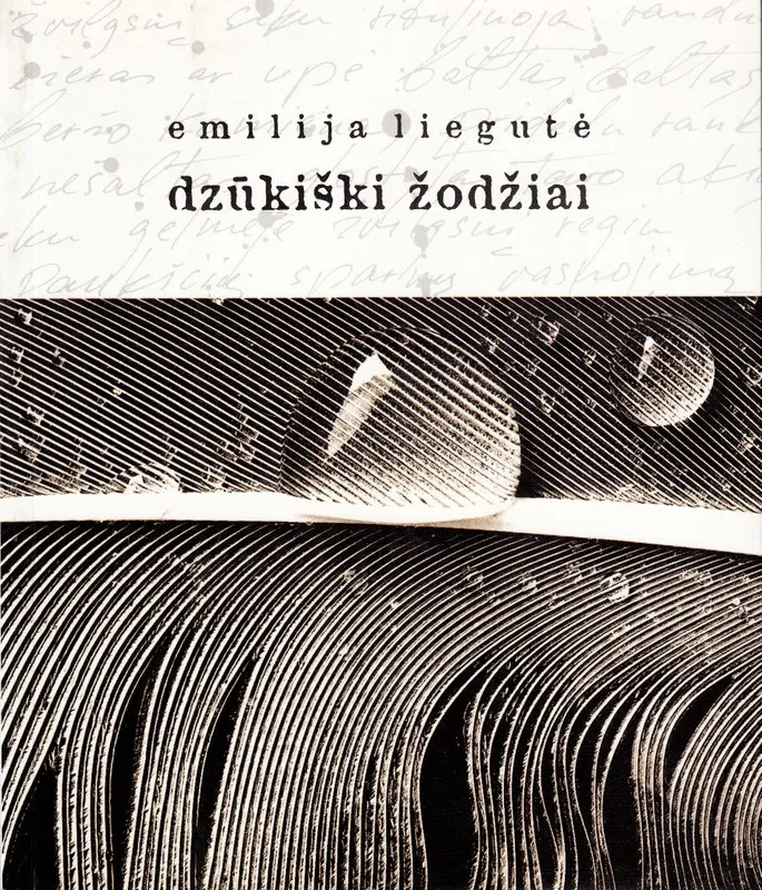 Dzūkiški žodžiai