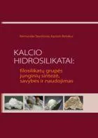 Kalcio hidrosilikatai: filosilikatų grupės junginių sintezė, savybės ir naudojimas