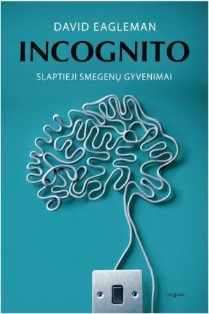 Incognito. Slaptieji smegenų gyvenimai