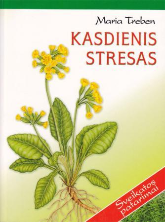 Kasdienis stresas