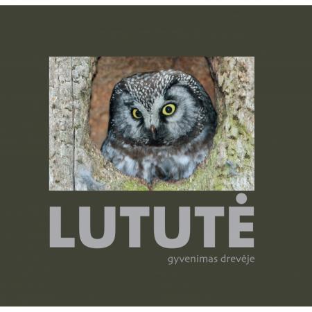 Lututė. Gyvenimas drevėje