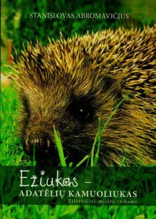 Ežiukas - adatėlių kamuoliukas