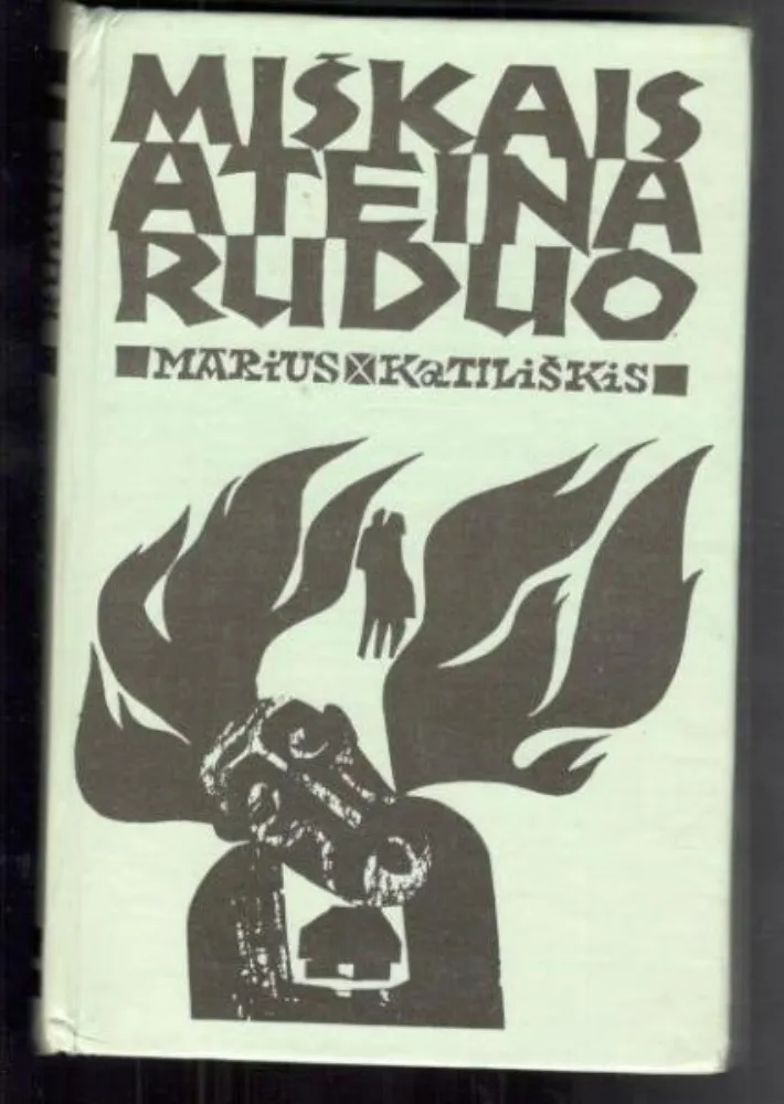 MIŠKAIS ATEINA RUDUO