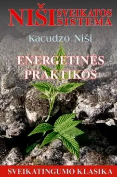 Energetinės praktikos