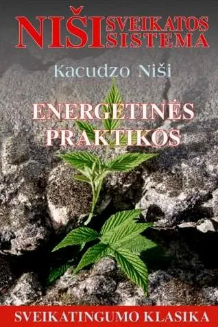 Energetinės praktikos