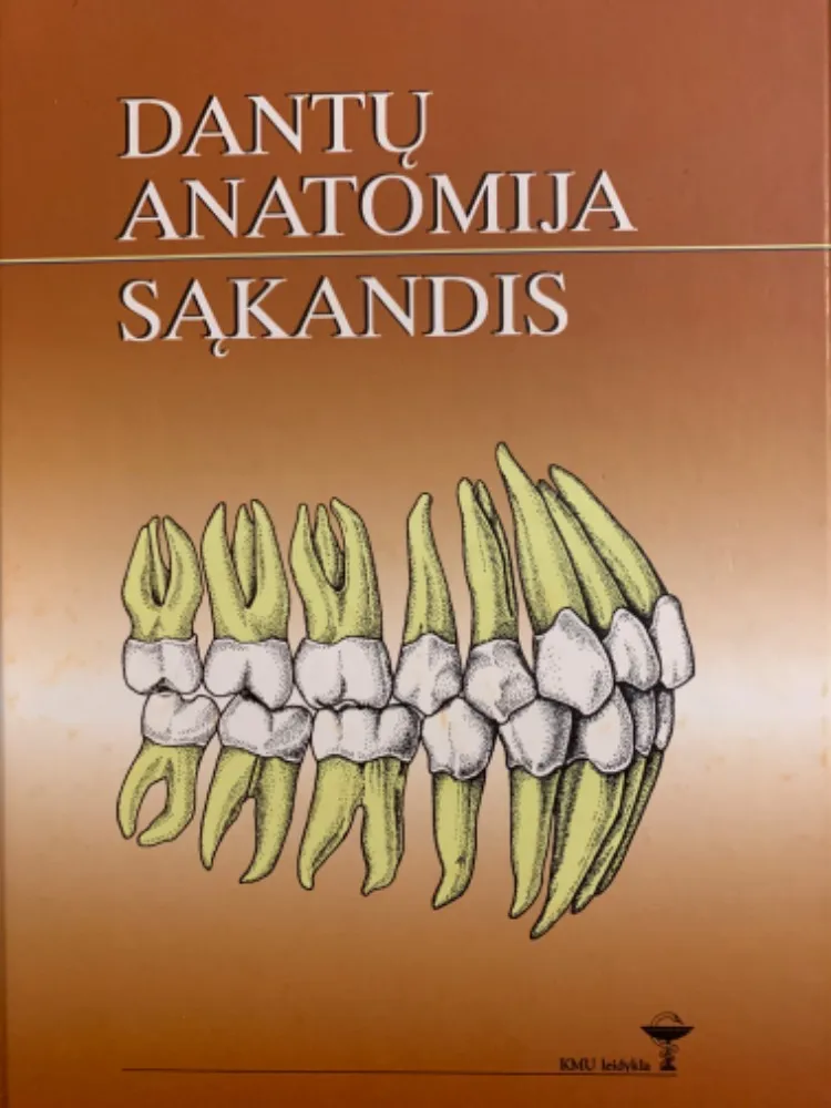 Dantų anatomija sąkandis