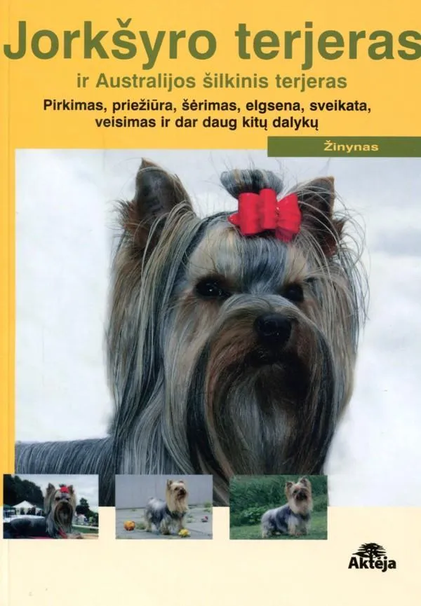 Jorkšyro terjeras