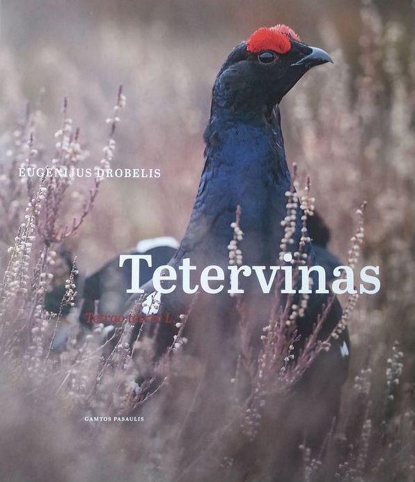 Tetervinas