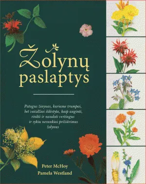 Žolynų paslaptys