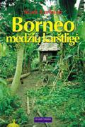 Borneo medžių karštligė
