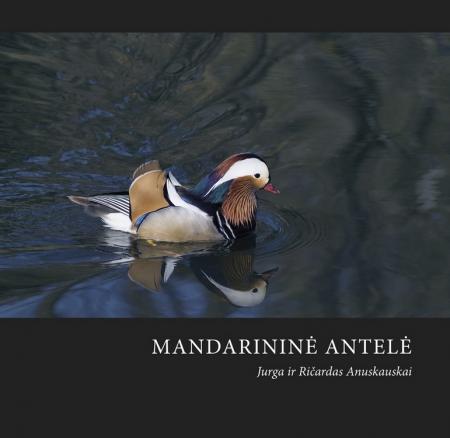 Mandarininė antelė