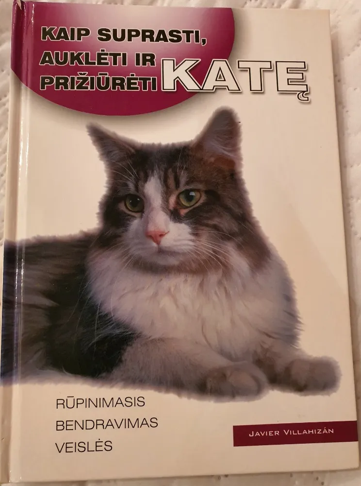 Kaip suprasti, auklėti ir prižiūrėti katę