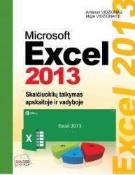 Microsoft Excel 2013