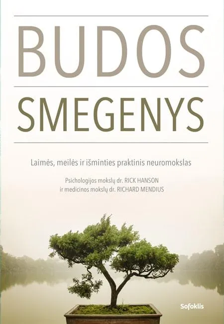 Budos smegenys. Laimės, meilės ir išminties praktinis neuromokslas