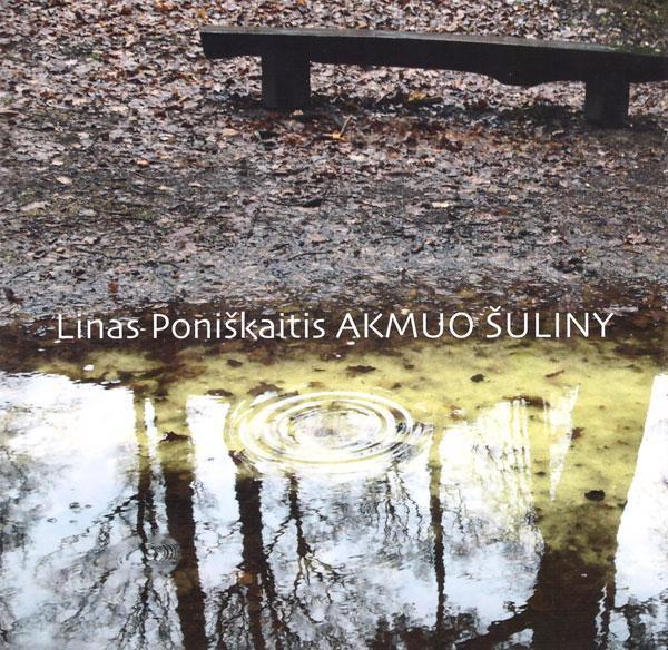 Akmuo šuliny