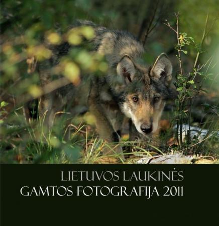 Lietuvos laukinės gamtos fotografija 2011