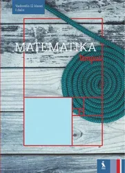 Matematika: vadovėlis 12 klasei. 1 knyga