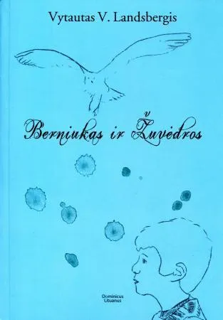 Berniukas ir žuvėdros