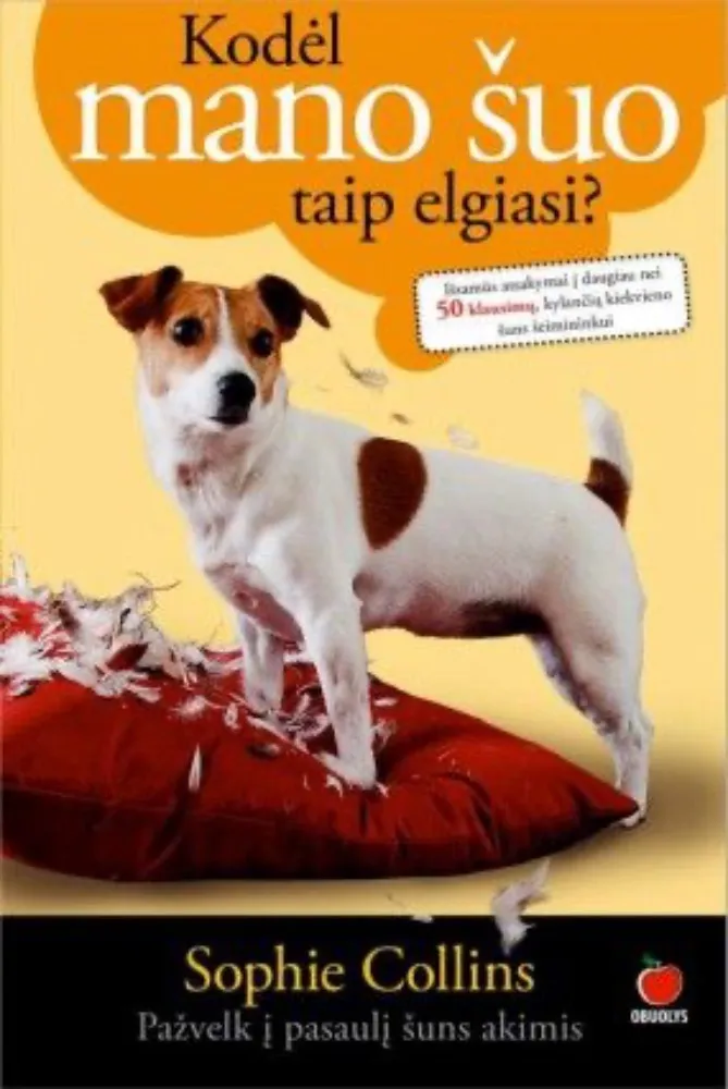 Kodėl mano šuo taip elgiasi?