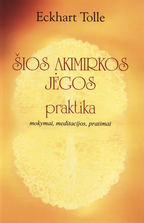 Šios akimirkos jėgos praktika. Mokymai, meditacijos, pratimai