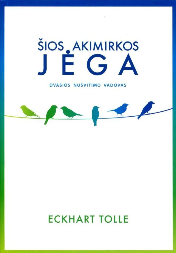 Šios akimirkos jėga. Dvasios nušvitimo vadovas