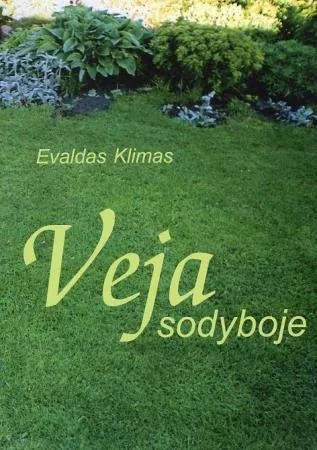 Veja sodyboje